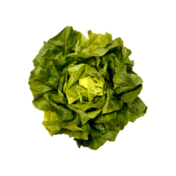 Salade roumaine feuille 200g